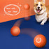 BounceBuddy™ Interactive Ball