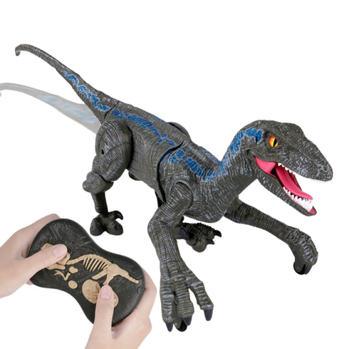 Remote Control Dinosaur Toy