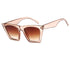 Large Frame Cat-Eye Sunglasses