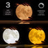 CPLA Moon Lamp Moon Light