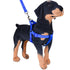 Adjustable Dog Leash Harness