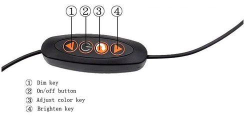 Sunset Projection Light